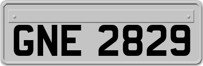 GNE2829