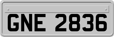 GNE2836