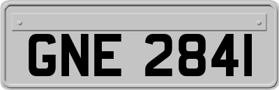 GNE2841