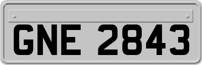 GNE2843