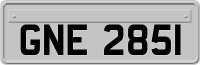 GNE2851