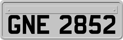 GNE2852