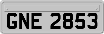 GNE2853