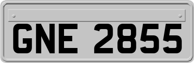 GNE2855