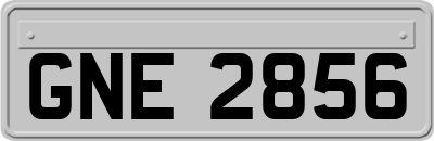 GNE2856