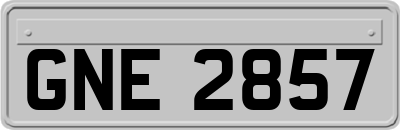 GNE2857
