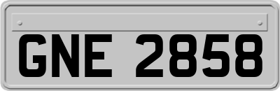 GNE2858