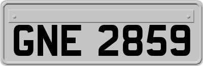 GNE2859