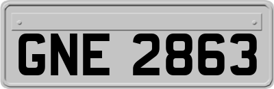 GNE2863