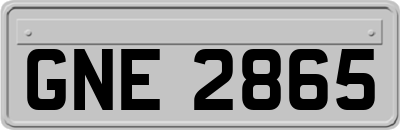 GNE2865