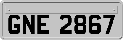 GNE2867