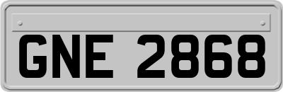 GNE2868