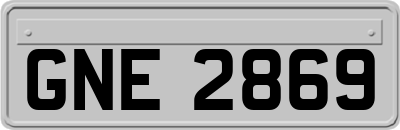 GNE2869