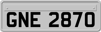 GNE2870