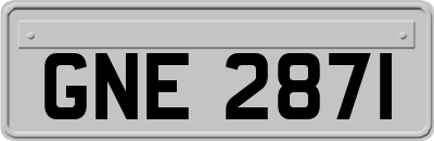 GNE2871