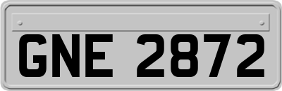 GNE2872