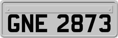 GNE2873