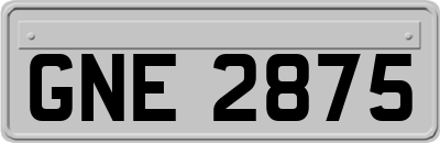 GNE2875