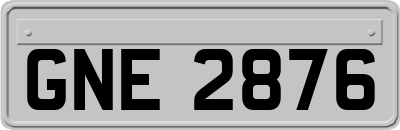 GNE2876