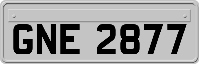 GNE2877
