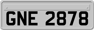 GNE2878