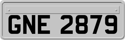 GNE2879