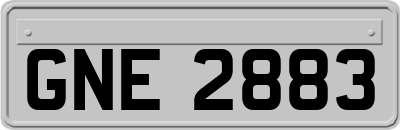 GNE2883