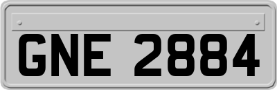 GNE2884