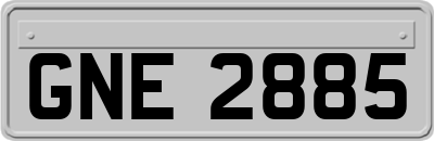GNE2885