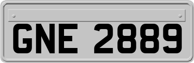 GNE2889