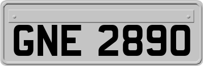 GNE2890