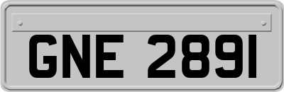 GNE2891