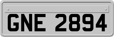 GNE2894