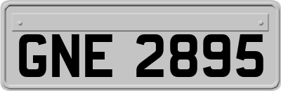 GNE2895