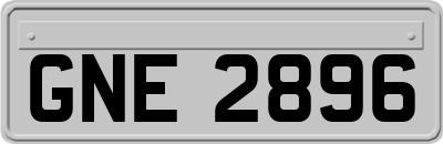 GNE2896