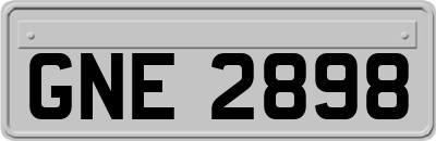 GNE2898