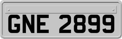 GNE2899