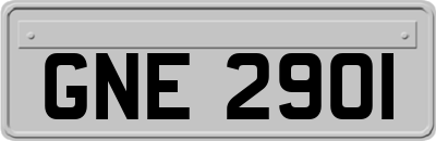 GNE2901