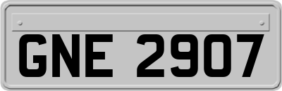 GNE2907
