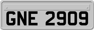 GNE2909