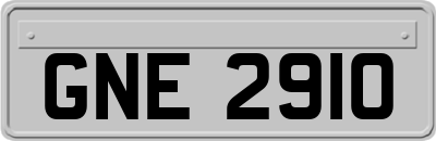 GNE2910