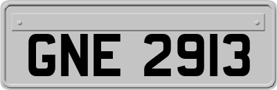 GNE2913