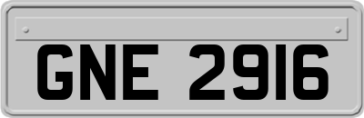 GNE2916
