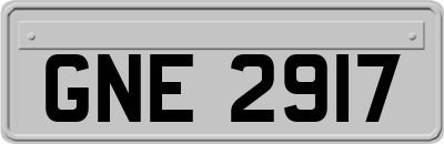 GNE2917