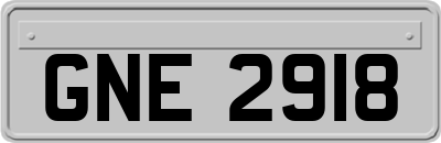 GNE2918