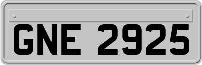 GNE2925