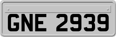 GNE2939