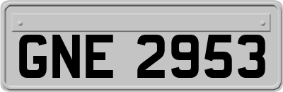 GNE2953
