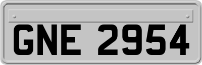GNE2954