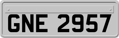 GNE2957
